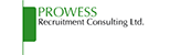 Prowess Recruitment Consultant
